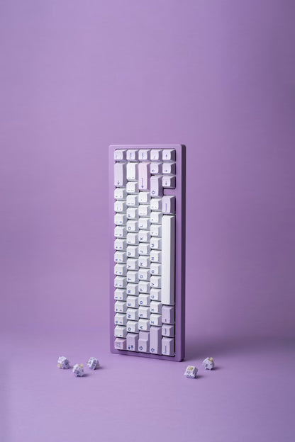 Hippo PBT Keycaps