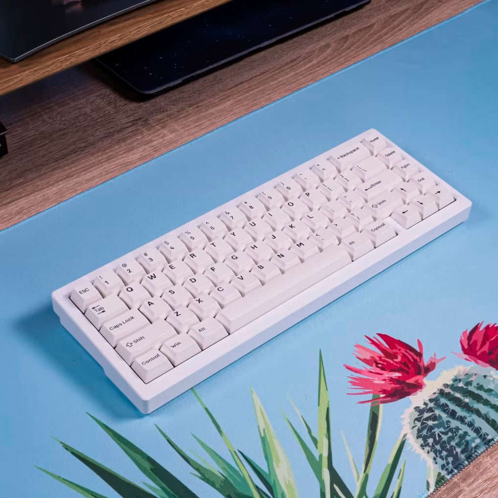 Black-on-White (BoW) PBT Keycaps